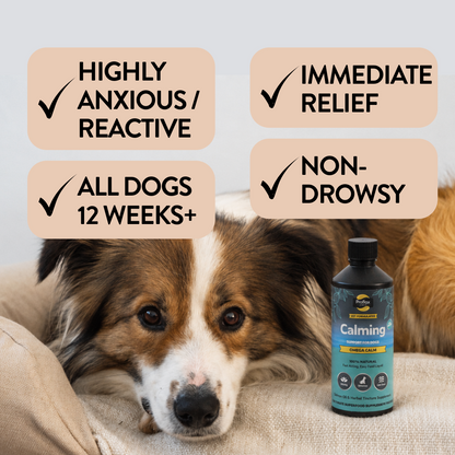Calming Salmon Oil for Highly Anxious Dogs - Omega Calm