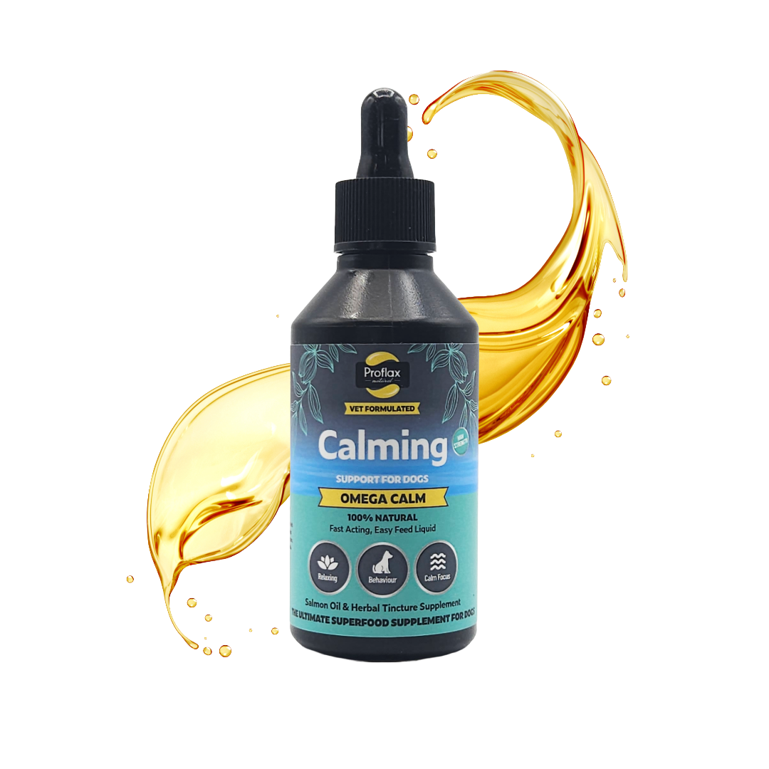 Calming Salmon Oil for Highly Anxious Dogs - Omega Calm