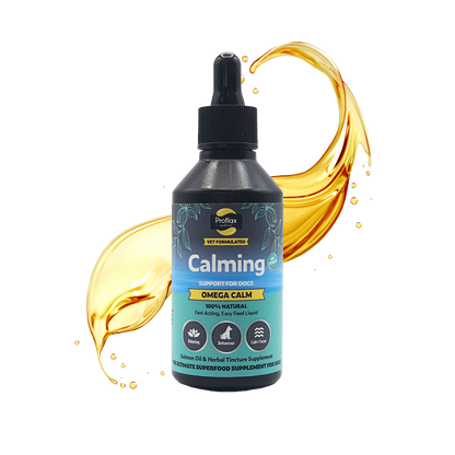 Calming Salmon Oil for Highly Anxious Dogs - Omega Calm