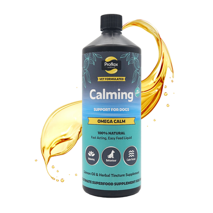 Calming Salmon Oil for Highly Anxious Dogs - Omega Calm