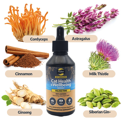 Salmon Oil Supplement for Cats - Feline Fine