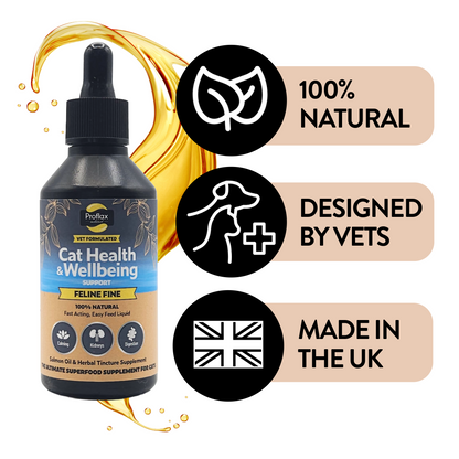 Salmon Oil Supplement for Cats - Feline Fine