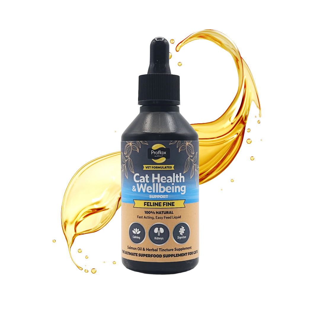 Salmon Oil Supplement for Cats - Feline Fine