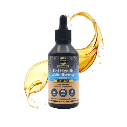 Salmon Oil Supplement for Cats - Feline Fine