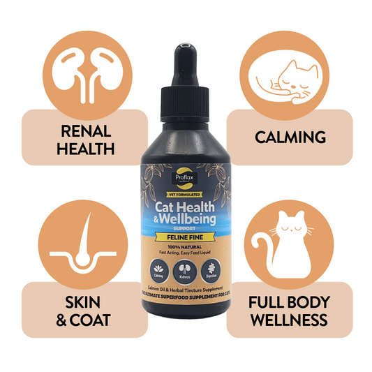 Salmon Oil Supplement for Cats - Feline Fine