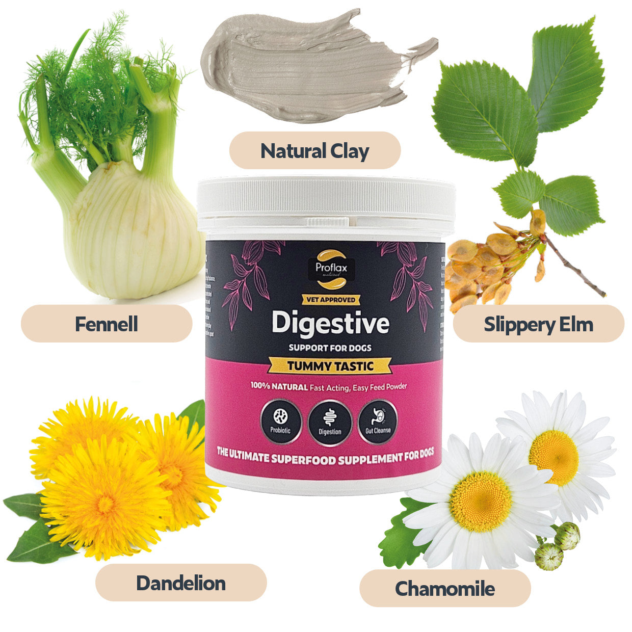 Targeted Wellness Bundle - Mini Allergy