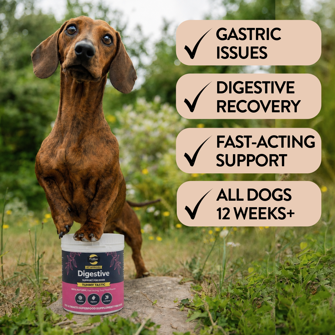 Pre & Probiotics for Dogs - Tummy Tastic