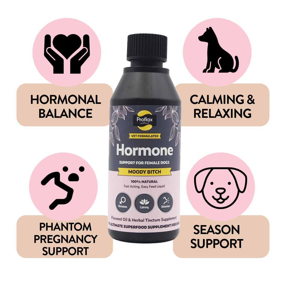 Hormonal Relief for Female Dogs - Moody Bitch