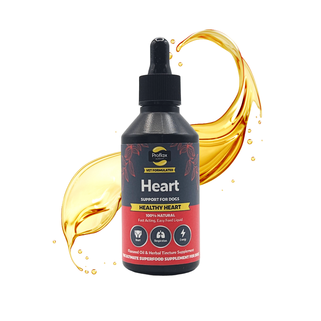 Heart & Circulation Support for Dogs - Healthy Heart - Proflax