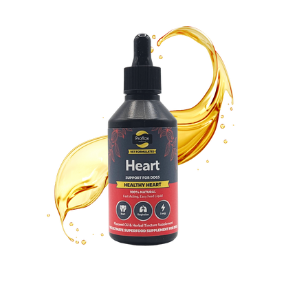 Heart & Circulation Support for Dogs - Healthy Heart - Proflax