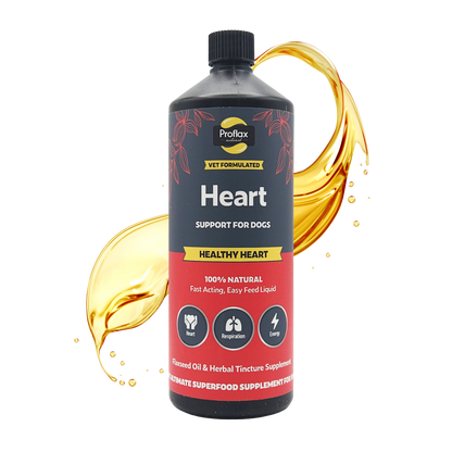 Heart & Circulation Support for Dogs - Healthy Heart - Proflax