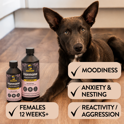 Hormonal Relief for Female Dogs - Moody Bitch