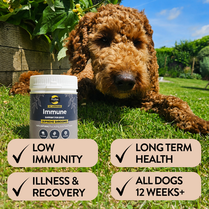 Immune Support for Dogs - Supreme Shrooms