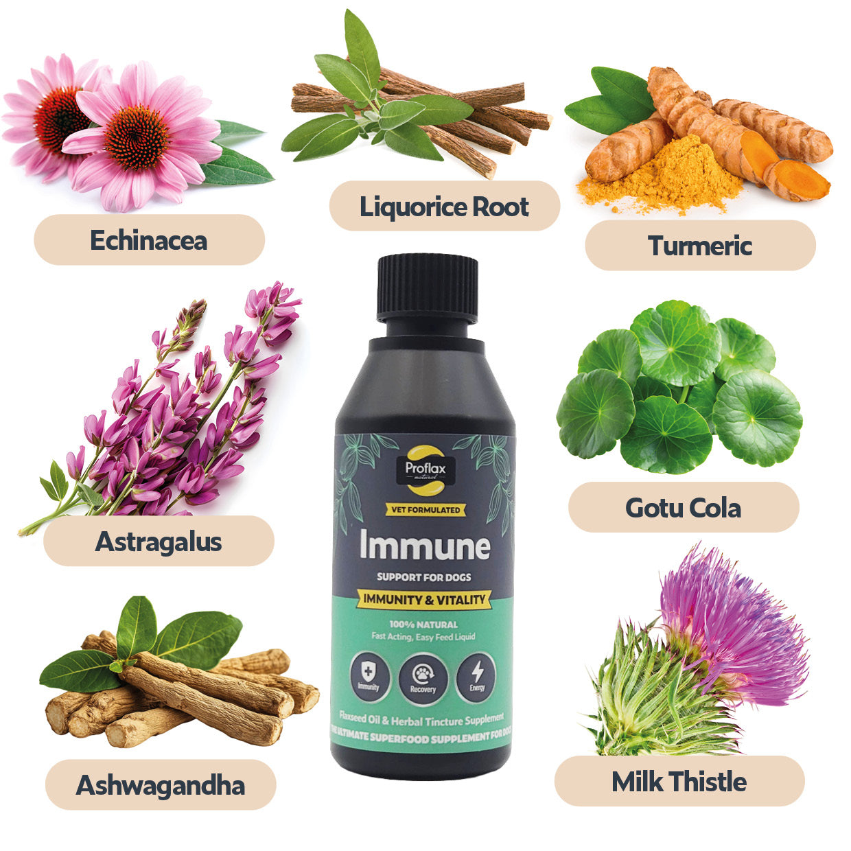 Targeted Wellness Bundle - Mini Chill Out