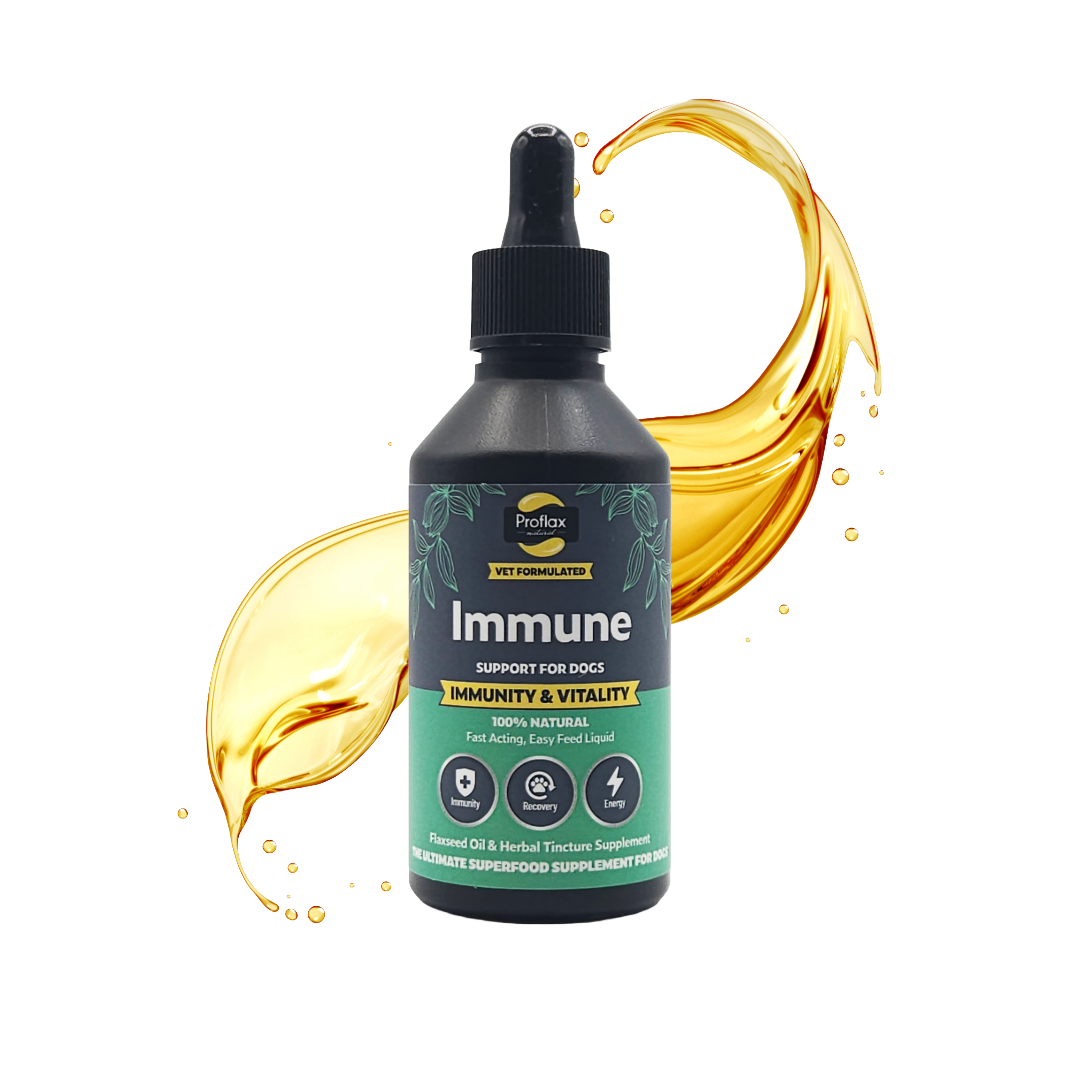 Immune & Energy Support for Dogs - Proflax