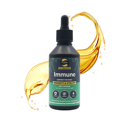 Immune & Energy Support for Dogs - Proflax