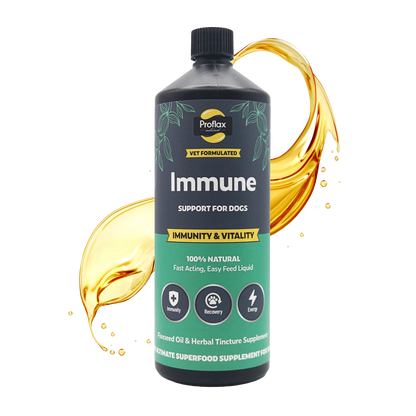 Immune & Energy Support for Dogs - Proflax