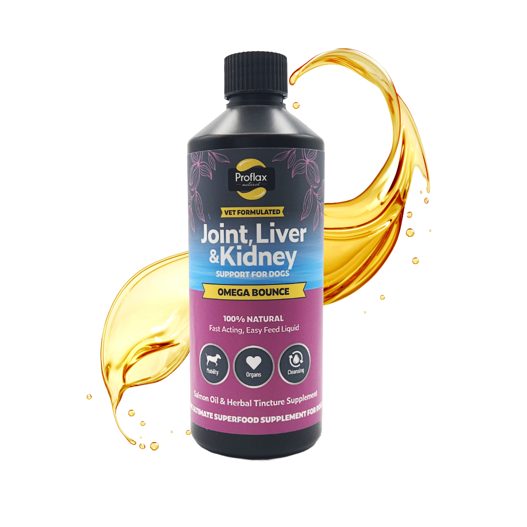 Salmon Oil for Joint & Mobility Support - Omega Bounce