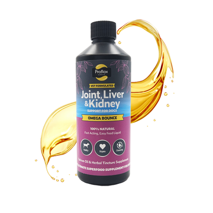 Salmon Oil for Joint & Mobility Support - Omega Bounce