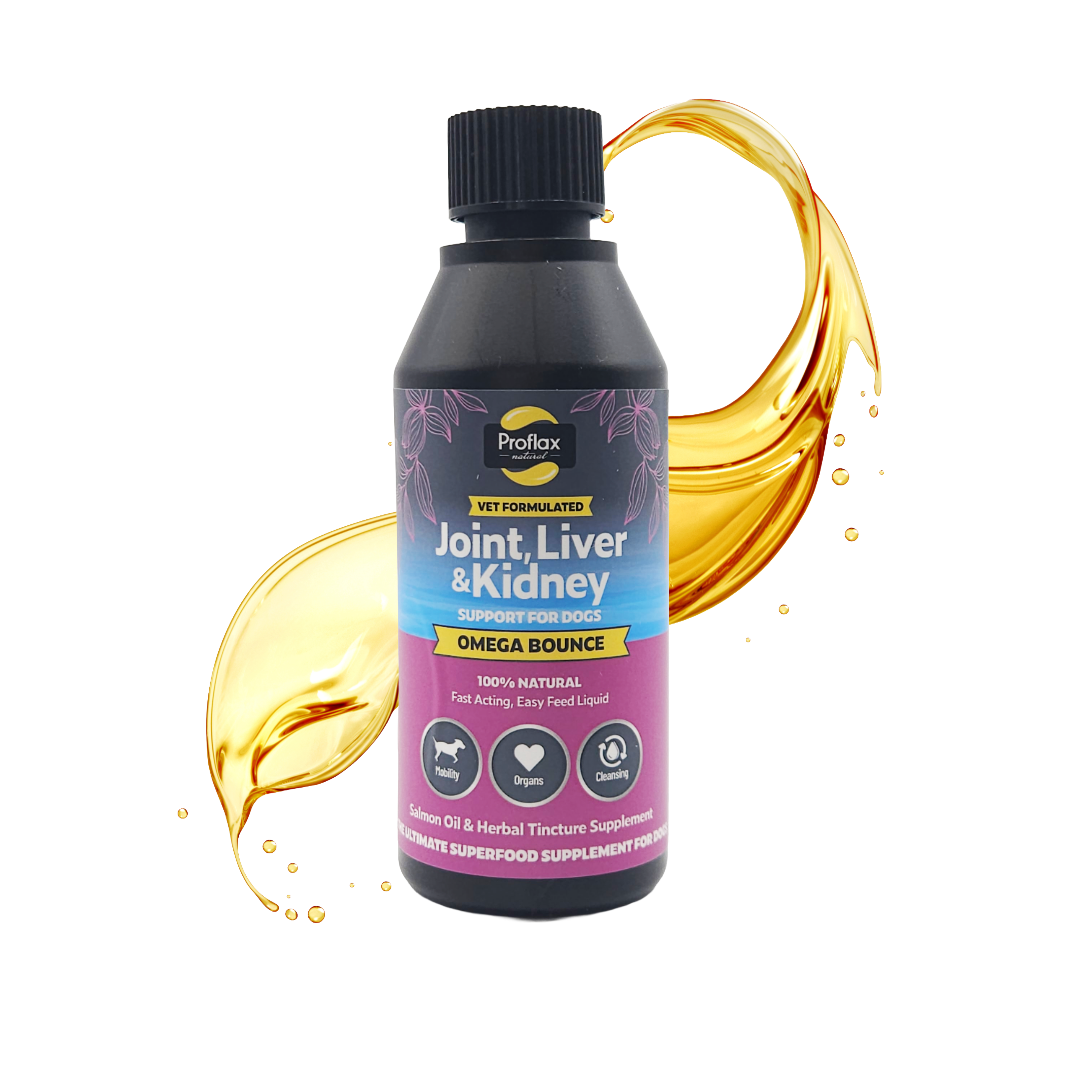 Salmon Oil for Joint & Mobility Support - Omega Bounce
