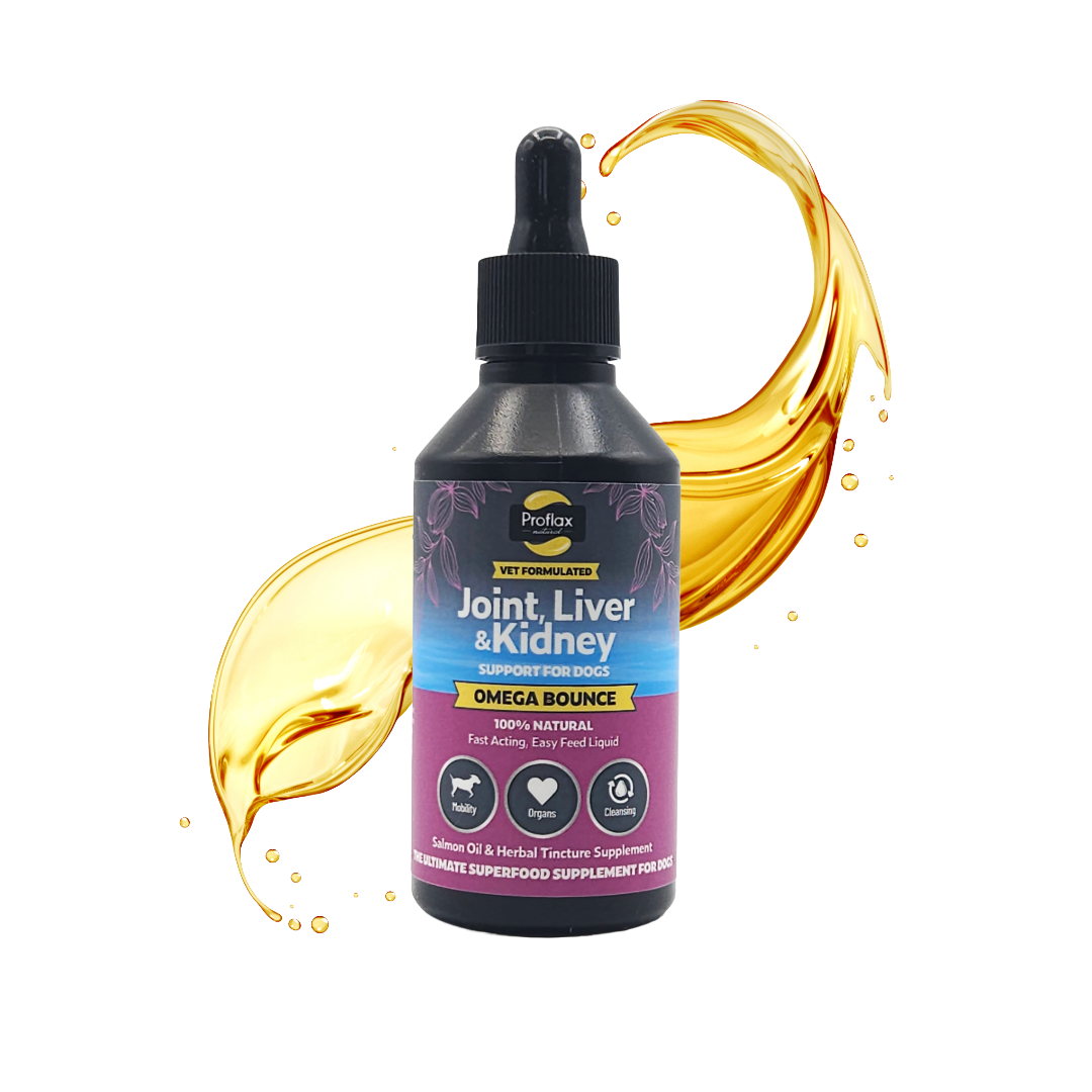 Salmon Oil for Joint & Mobility Support - Omega Bounce