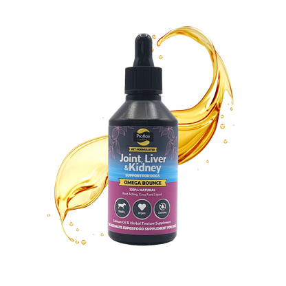 Salmon Oil for Joint & Mobility Support - Omega Bounce