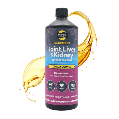 Salmon Oil for Joint & Mobility Support - Omega Bounce