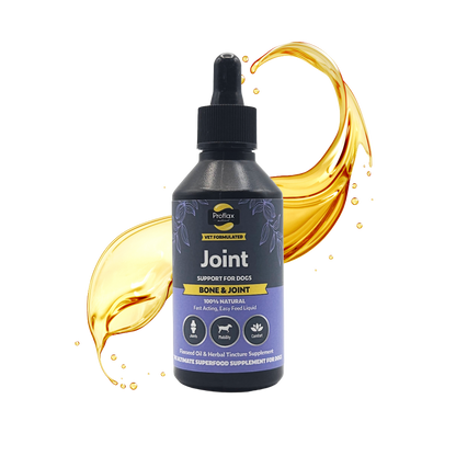 Bone, Joint & Mobility Support for Dogs - Proflax