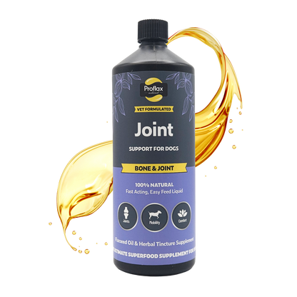 Bone, Joint & Mobility Support for Dogs - Proflax