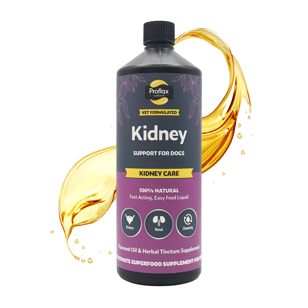 Kidney & Urinary Support for Dogs - Kidney Care - Proflax