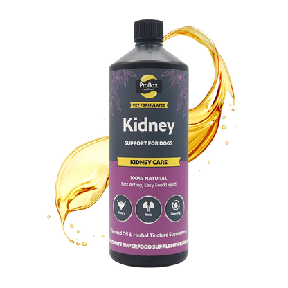 Kidney & Urinary Support for Dogs - Kidney Care - Proflax