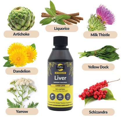 Targeted Wellness Bundle - Allergy (Premium)