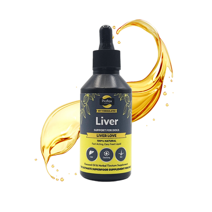 Liver & Cleansing Support for Dogs - Liver Love