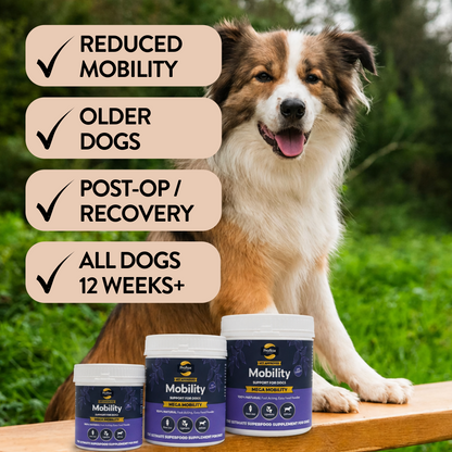 Joint & Mobility Blend for Dogs - Mega Mobility - Proflax