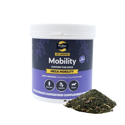 Joint & Mobility Blend for Dogs - Mega Mobility - Proflax