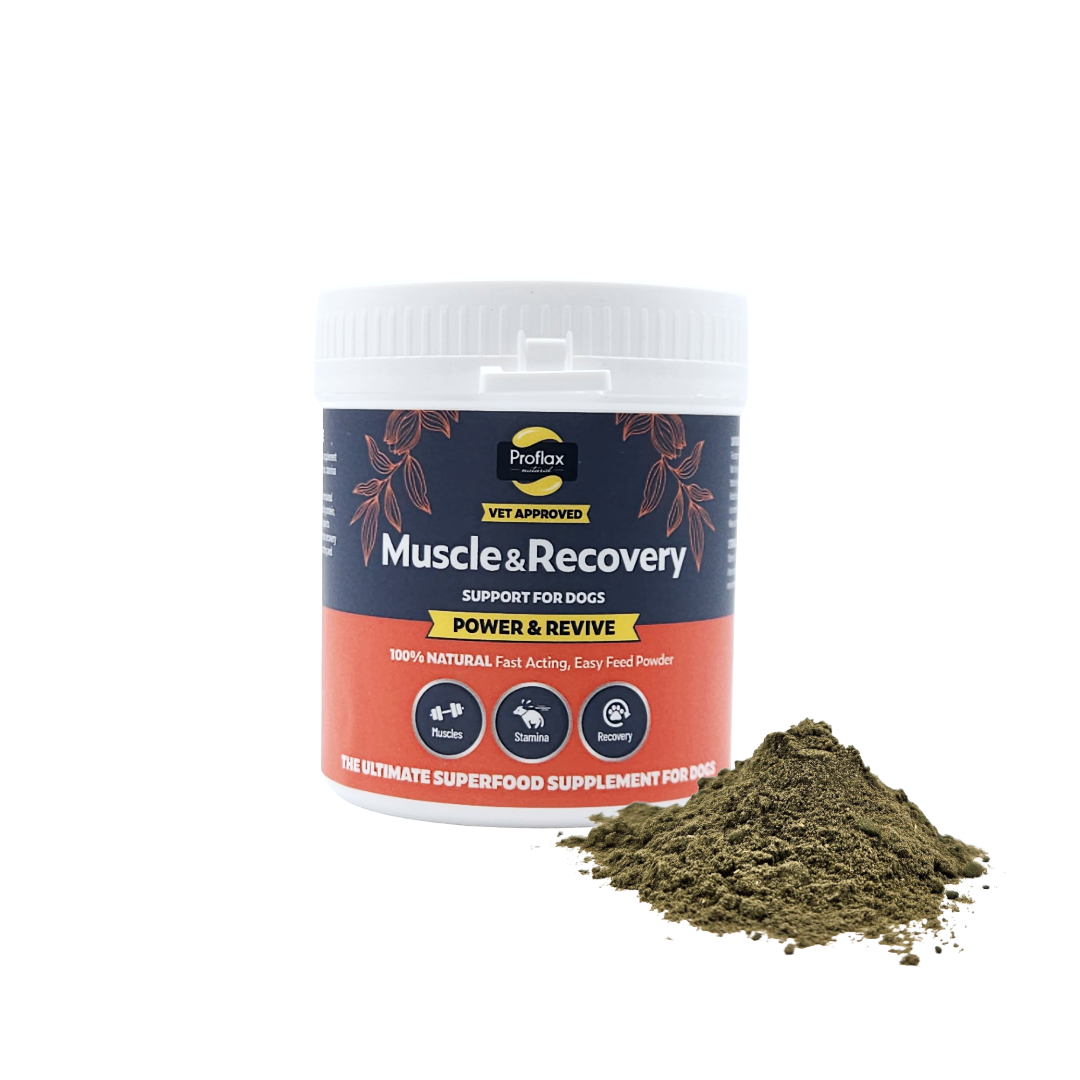 Muscle & Recovery Support for Dogs - Power & Revive - Proflax