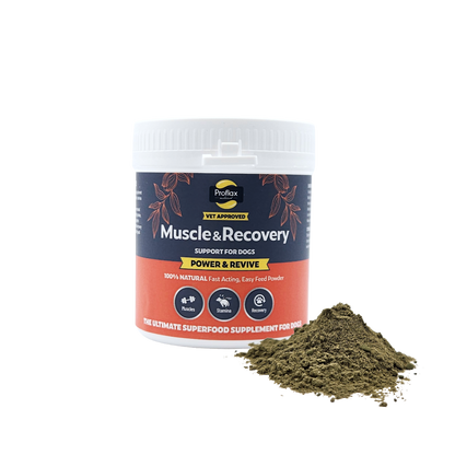 Muscle & Recovery Support for Dogs - Power & Revive - Proflax