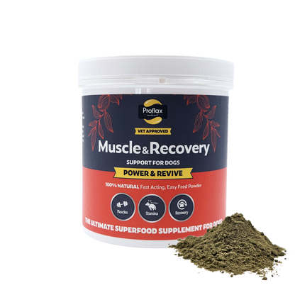 Muscle & Recovery Support for Dogs - Power & Revive - Proflax