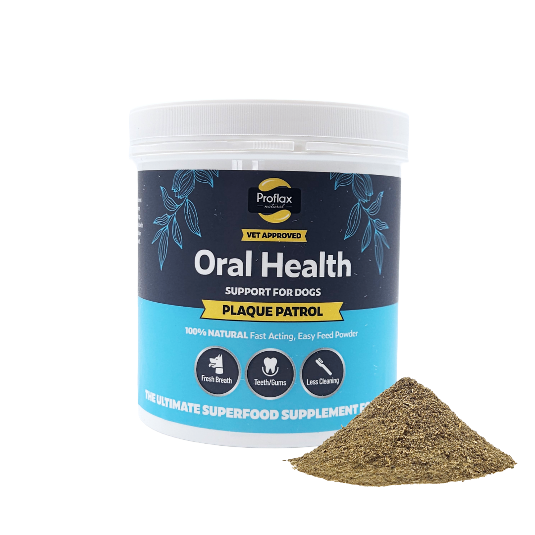 Healthy Teeth & Gums for Dogs - Plaque Patrol - Proflax