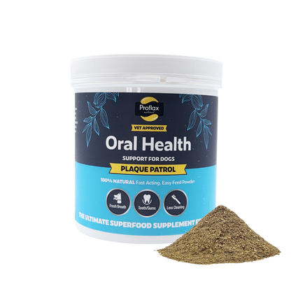 Healthy Teeth & Gums for Dogs - Plaque Patrol - Proflax