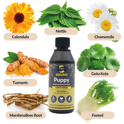 Targeted Wellness Bundle - Puppy (Premium)