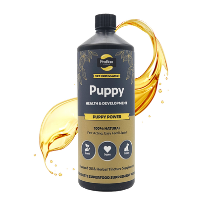 Puppy Digestion & Growth Support - Puppy Power - Proflax