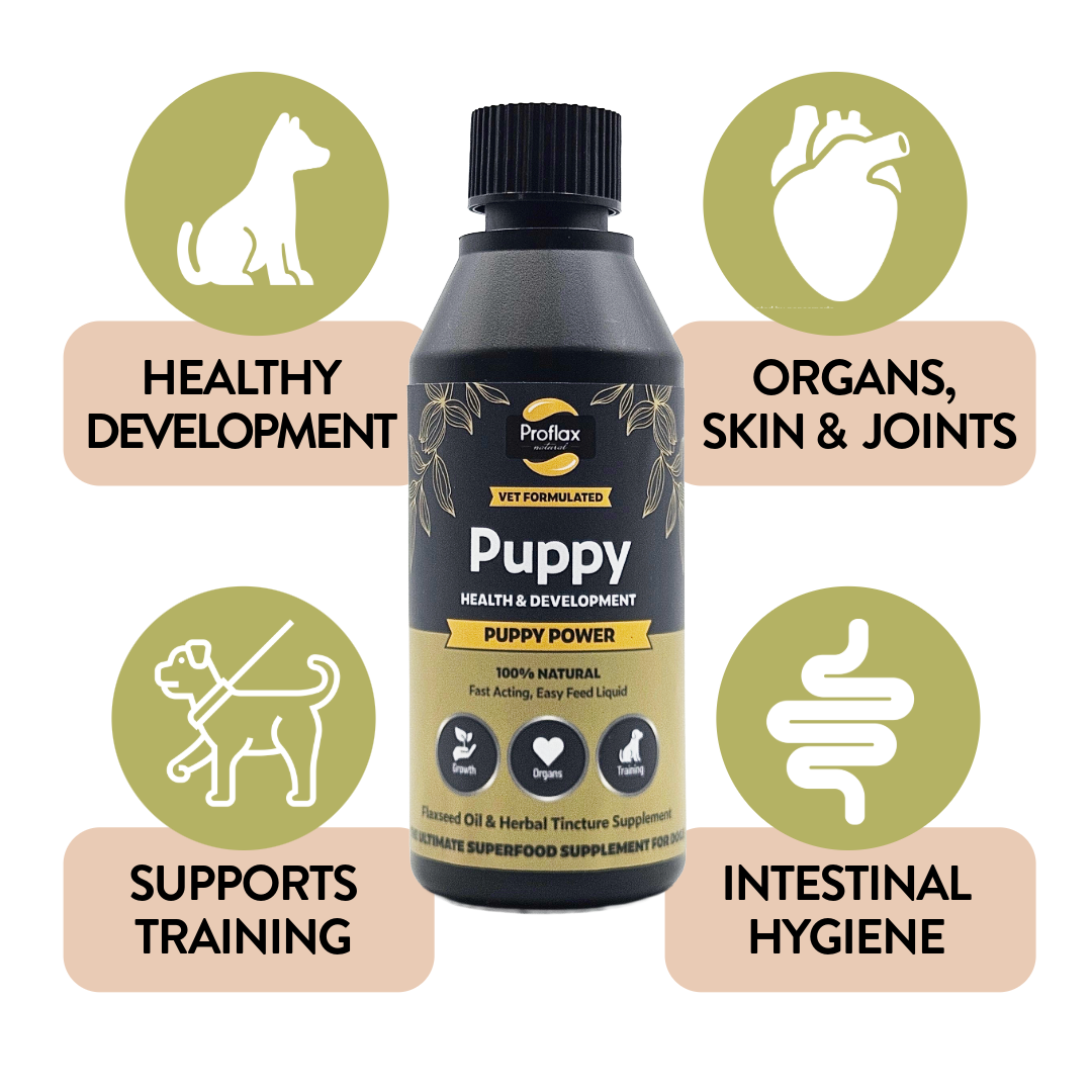 Puppy Digestion & Growth Support - Puppy Power - Proflax