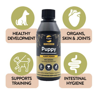 Puppy Digestion & Growth Support - Puppy Power - Proflax