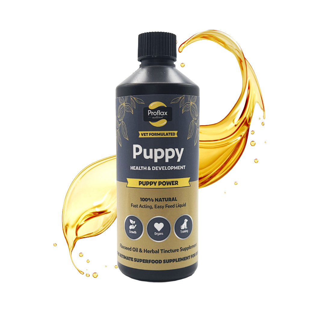 Puppy Digestion & Growth Support - Puppy Power - Proflax