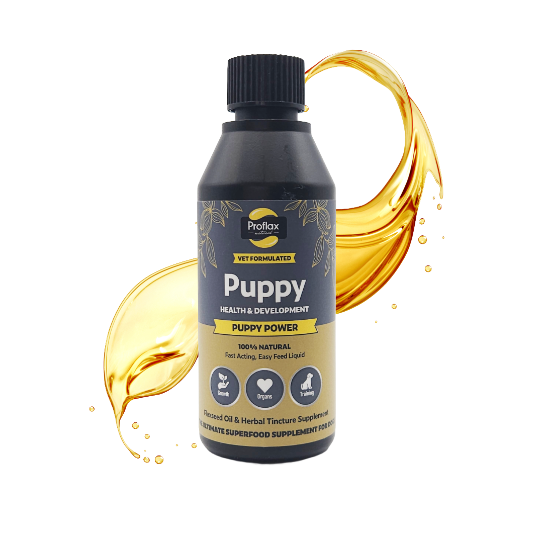 Puppy Digestion & Growth Support - Puppy Power - Proflax
