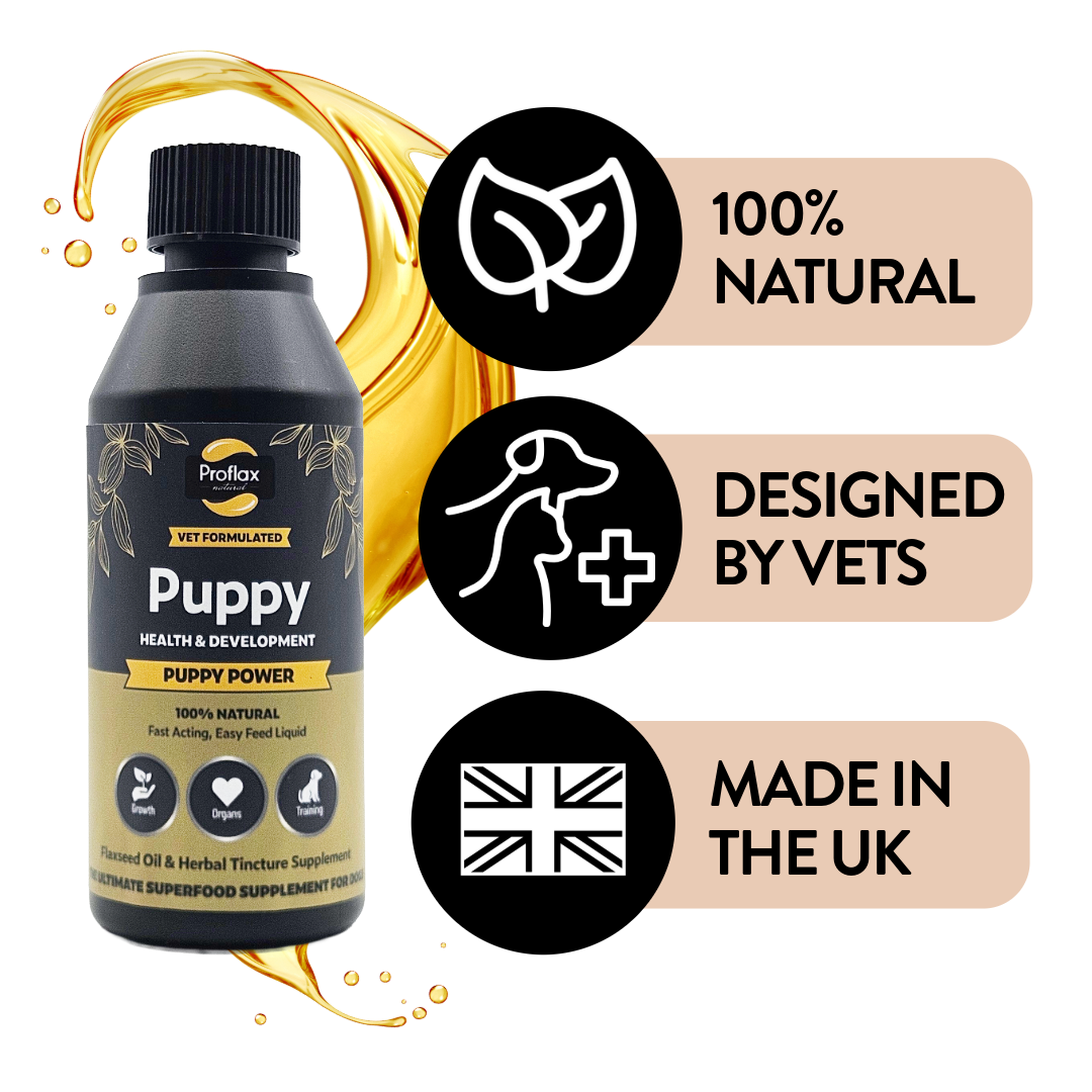 Puppy Digestion & Growth Support - Puppy Power - Proflax