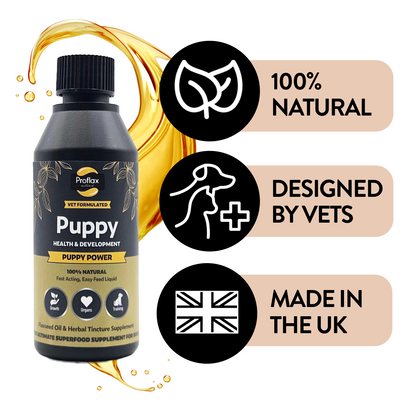 Puppy Digestion & Growth Support - Puppy Power - Proflax