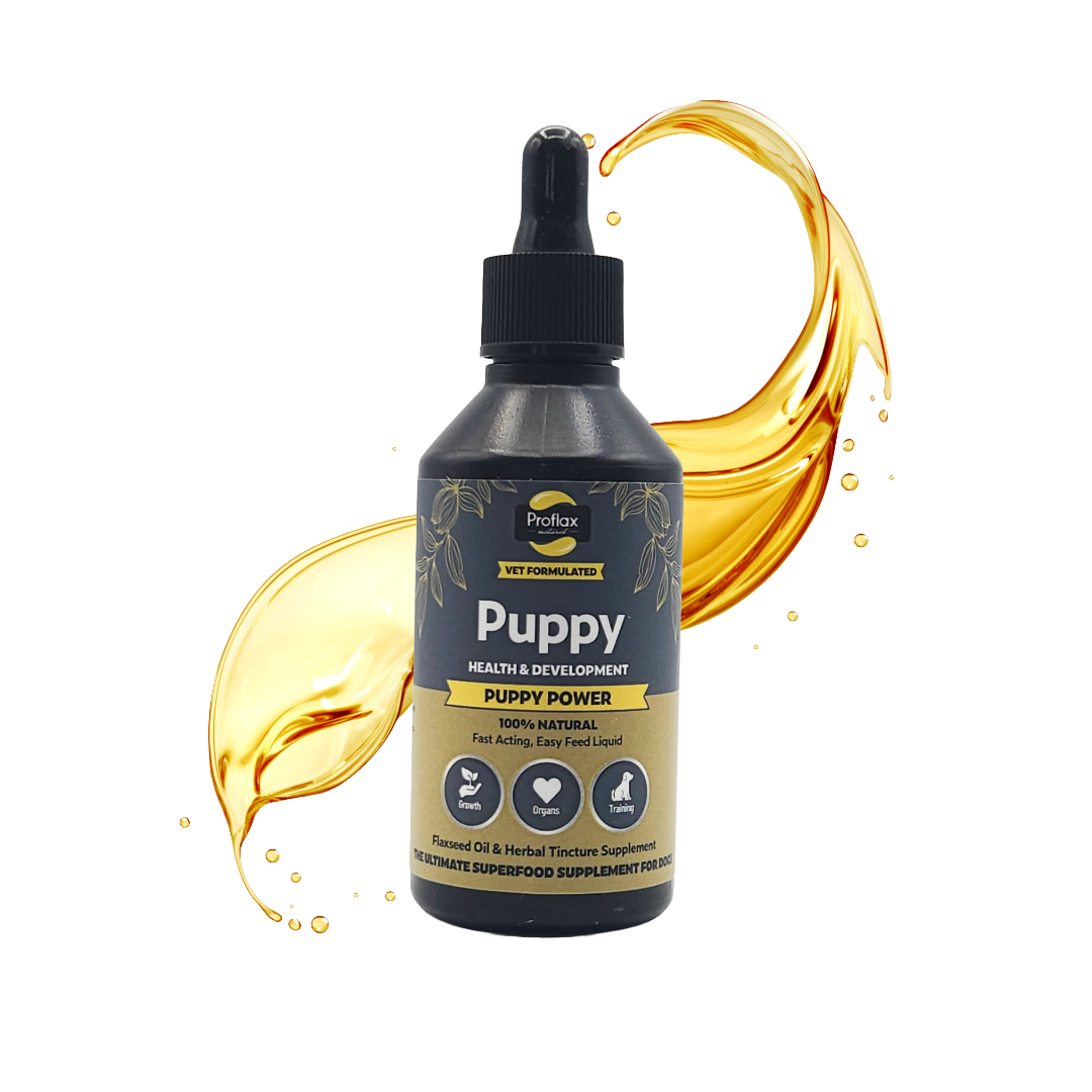 Puppy Digestion & Growth Support - Puppy Power - Proflax
