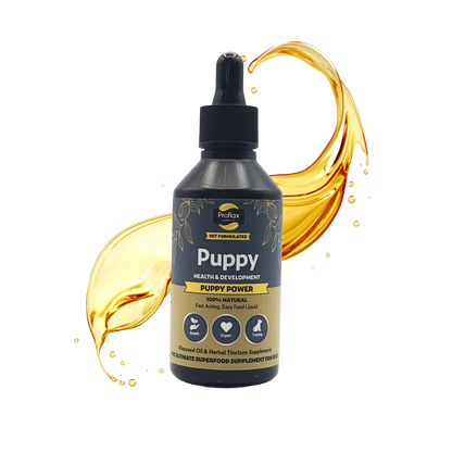 Puppy Digestion & Growth Support - Puppy Power - Proflax